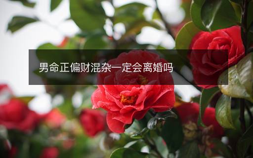 男命正偏財(cái)混雜一定會(huì)離婚嗎