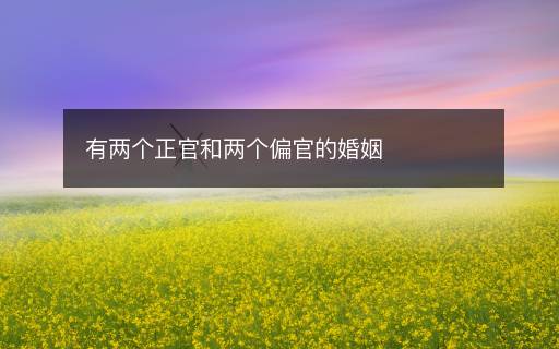 有兩個正官和兩個偏官的婚姻