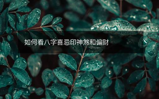 如何看八字喜忌印神煞和偏財