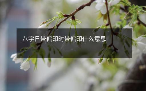 八字日帶偏印時帶偏印什么意思