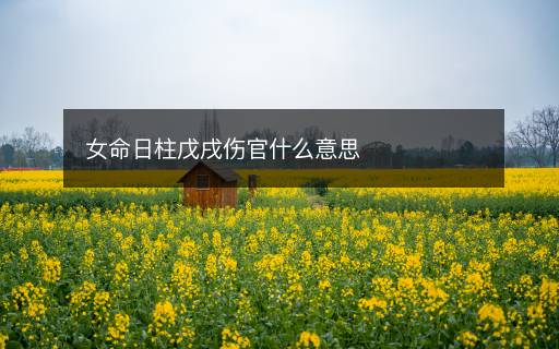 女命日柱戊戌傷官什么意思