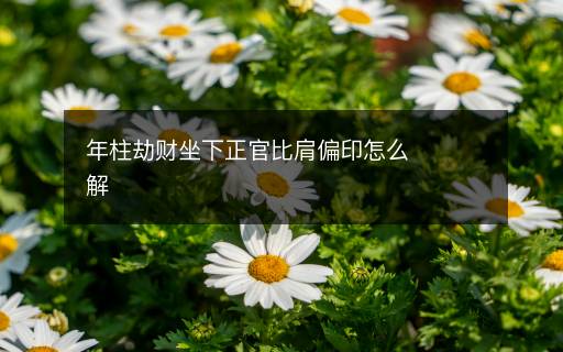 年柱劫財坐下正官比肩偏印怎么解