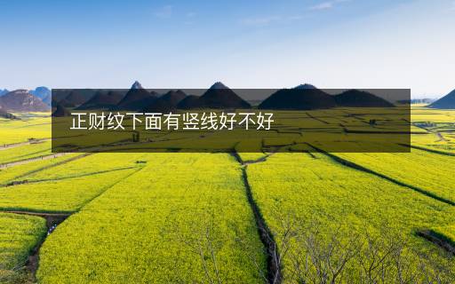 正財紋下面有豎線好不好