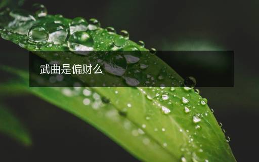 武曲是偏財(cái)么
