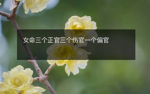 女命三個(gè)正官三個(gè)傷官一個(gè)偏官