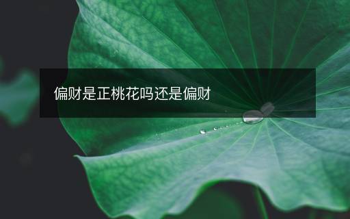 偏財(cái)是正桃花嗎還是偏財(cái)
