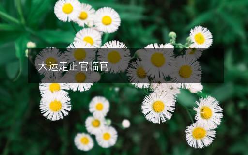 大運走正官臨官