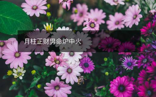 月柱正財(cái)男命爐中火
