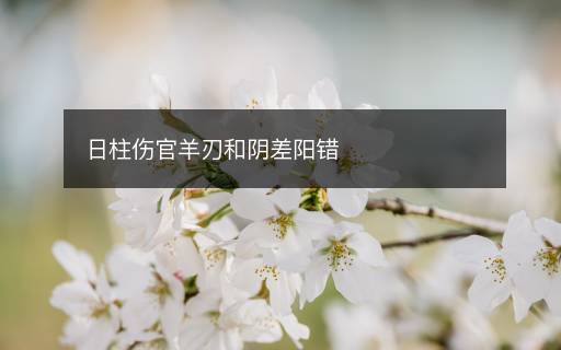 日柱傷官羊刃和陰差陽(yáng)錯(cuò)