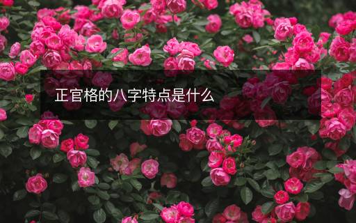 正官格的八字特點是什么