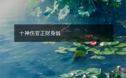 十神傷官正財(cái)身弱