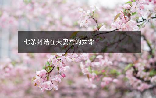 七殺封誥在夫妻宮的女命