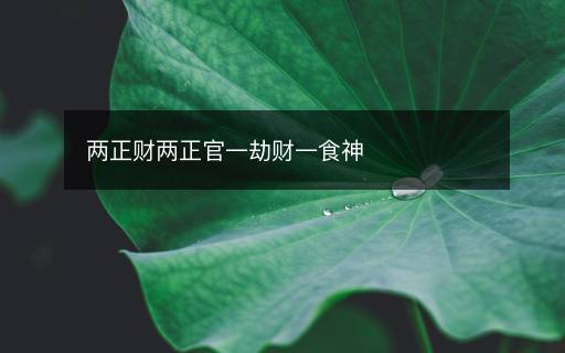 兩正財(cái)兩正官一劫財(cái)一食神