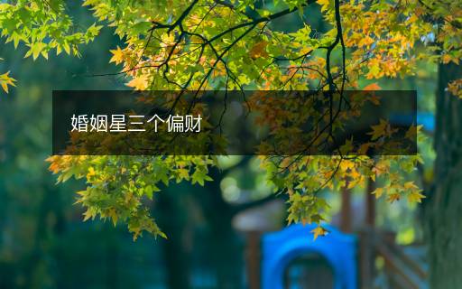 婚姻星三個(gè)偏財(cái)