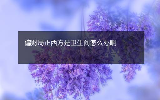 偏財局正西方是衛(wèi)生間怎么辦啊