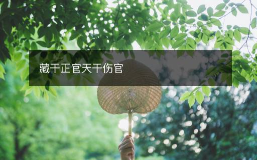 藏干正官天干傷官