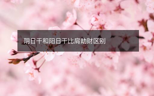 陰日干和陽日干比肩劫財(cái)區(qū)別