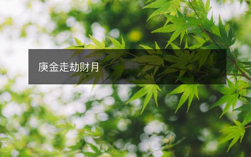 庚金走劫財月