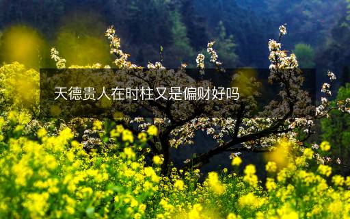 天德貴人在時柱又是偏財好嗎