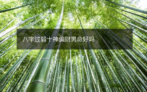 八字過弱十神偏財男命好嗎