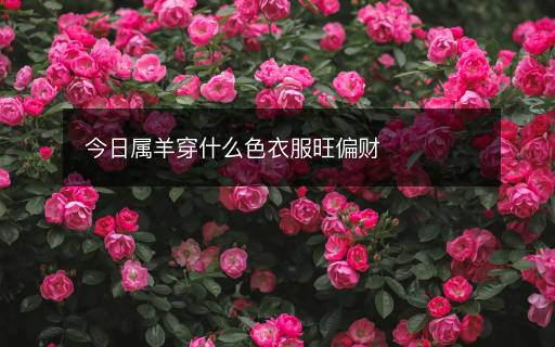 今日屬羊穿什么色衣服旺偏財(cái)