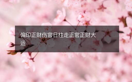 偏印正財(cái)傷官日柱走正官正財(cái)大運(yùn)