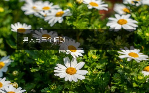 男人占三個偏財