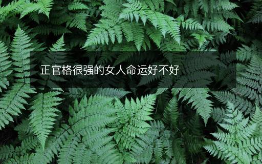 正官格很強(qiáng)的女人命運(yùn)好不好