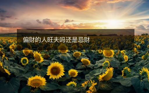 偏財(cái)?shù)娜送騿徇€是忌財(cái)