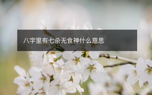 八字里有七殺無食神什么意思
