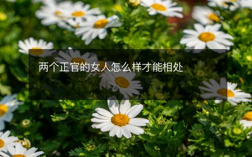 兩個(gè)正官的女人怎么樣才能相處