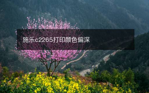 施樂c2265打印顏色偏深