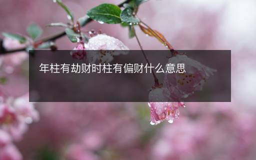 年柱有劫財(cái)時(shí)柱有偏財(cái)什么意思