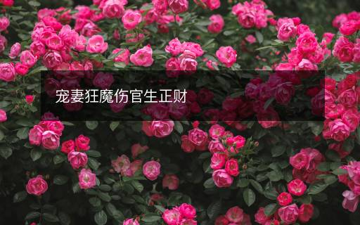 寵妻狂魔傷官生正財