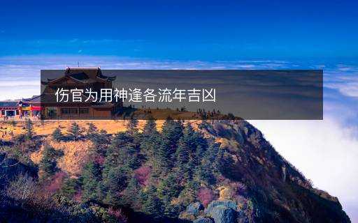 傷官為用神逢各流年吉兇