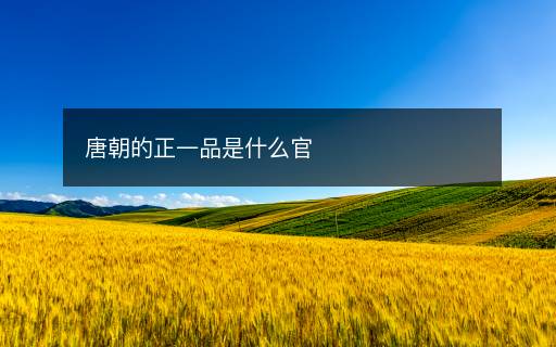 唐朝的正一品是什么官