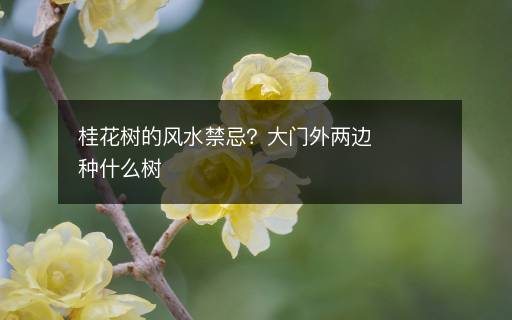 桂花樹的風(fēng)水禁忌？大門外兩邊種什么樹