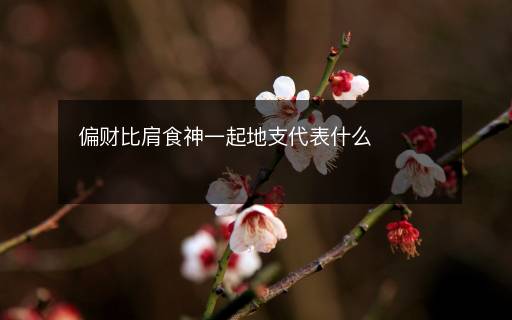 偏財比肩食神一起地支代表什么