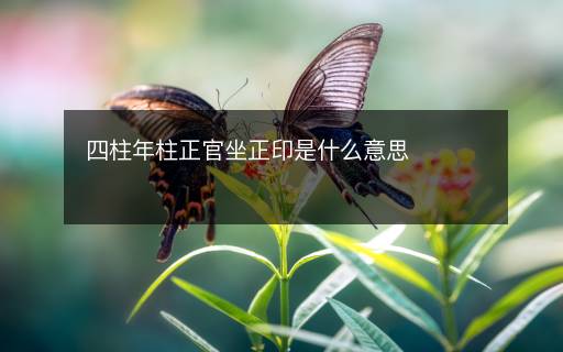 四柱年柱正官坐正印是什么意思