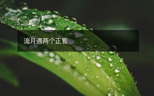 流月遇兩個正官