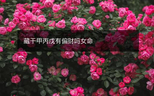 藏干甲丙戊有偏財(cái)嗎女命