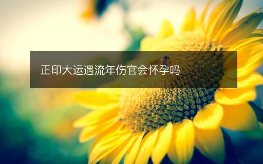 正印大運(yùn)遇流年傷官會(huì)懷孕嗎
