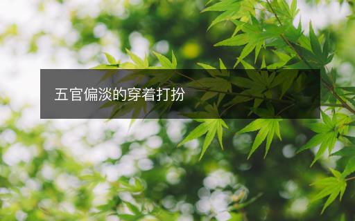 五官偏淡的穿著打扮