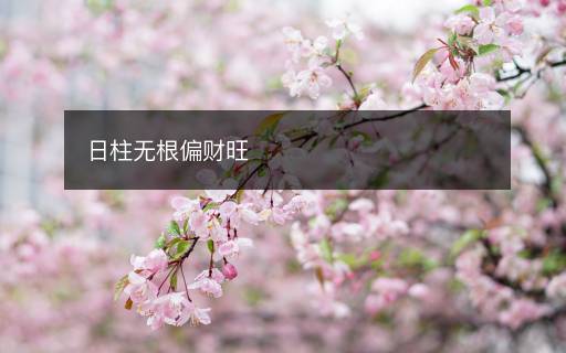 日柱無(wú)根偏財(cái)旺