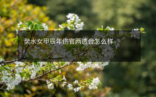 癸水女甲辰年傷官兩透會怎么樣