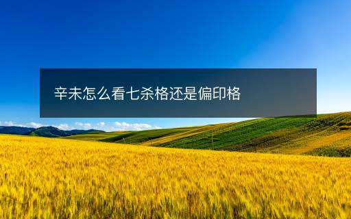 辛未怎么看七殺格還是偏印格
