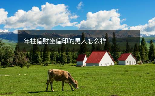 年柱偏財(cái)坐偏印的男人怎么樣