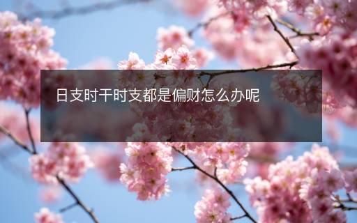 日支時(shí)干時(shí)支都是偏財(cái)怎么辦呢