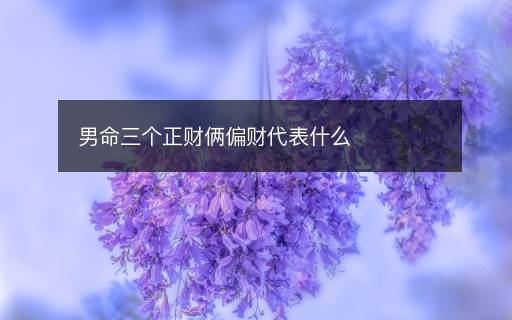 男命三個(gè)正財(cái)倆偏財(cái)代表什么