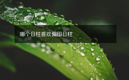 哪個(gè)日柱喜歡偏印日柱
